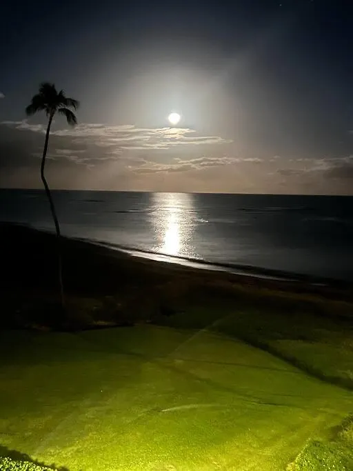 Beautiful Oceanfront, Ac In Each Room, Sleeps 6 Kihei