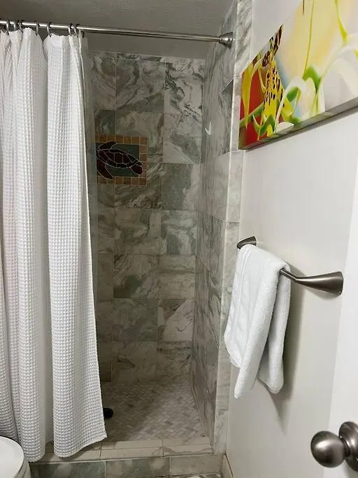 Beautiful Oceanfront, Ac In Each Room, Sleeps 6 Kihei Estados Unidos